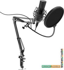 Микрофон Ritmix RDM-180