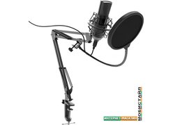 Микрофон Ritmix RDM-180