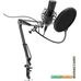Микрофон Ritmix RDM-180