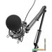 Микрофон Ritmix RDM-180