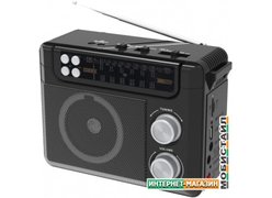 Радиоприемник Ritmix RPR-200 (черный)