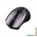 Мышь Ritmix RMW-560 (черный/серый)