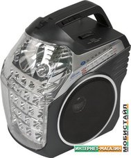 Радиоприемник Ritmix RPR-505