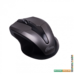 Мышь Ritmix RMW-560 (черный/серый)