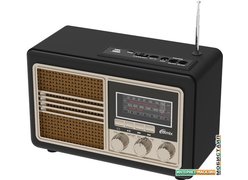 Радиоприемник Ritmix RPR-070
