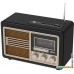 Радиоприемник Ritmix RPR-070