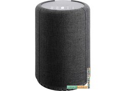 Беспроводная аудиосистема Audio Pro A10 (темно-серый)