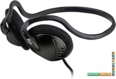 Наушники Ritmix RH-323M