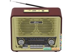 Радиоприемник Ritmix RPR-088 (золотистый)