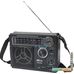 Радиоприемник Ritmix RPR-888