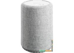 Беспроводная аудиосистема Audio Pro A10 (серый)
