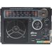 Радиоприемник Ritmix RPR-888