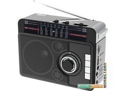 Радиоприемник Ritmix RPR-205