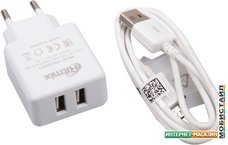 Сетевое зарядное Ritmix RM-2095AC (белый)