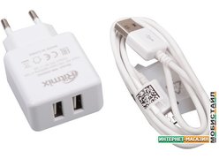 Сетевое зарядное Ritmix RM-2095AC (белый)