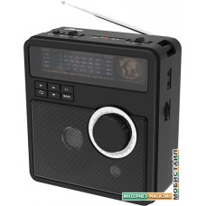 Радиоприемник Ritmix RPR-210
