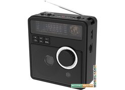 Радиоприемник Ritmix RPR-210