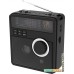 Радиоприемник Ritmix RPR-210