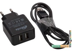 Сетевое зарядное Ritmix RM-2095AC (черный)