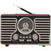 Радиоприемник Ritmix RPR-090 (золотистый)