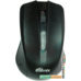 Мышь Ritmix RMW-555 (черный)