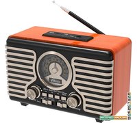 Радиоприемник Ritmix RPR-090 (золотистый)