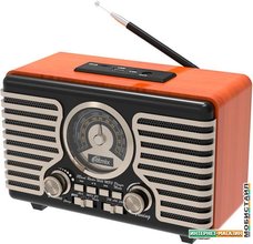 Радиоприемник Ritmix RPR-090 (золотистый)