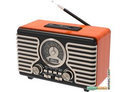 Радиоприемник Ritmix RPR-090 (золотистый)