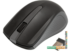 Мышь Ritmix RMW-555 (черный/серый)