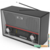Радиоприемник Ritmix RPR-102 (карбон)