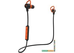 Наушники Motorola Verve Loop+