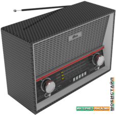 Радиоприемник Ritmix RPR-102 (карбон)