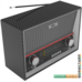 Радиоприемник Ritmix RPR-102 (карбон)