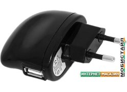 Сетевое зарядное Ritmix RM-005