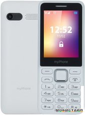 Мобильный телефон MyPhone 6310 (белый)