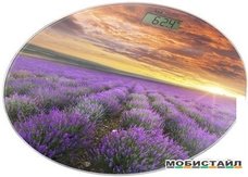 Напольные весы Home Element HE-SC908 (вересковый луг)