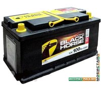 Автомобильный аккумулятор Black Horse BH100.0 R (100 А·ч)