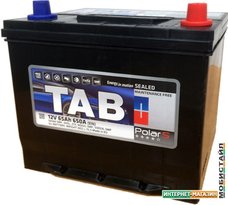 Автомобильный аккумулятор TAB Polar S Asia (65 А·ч) (246865)