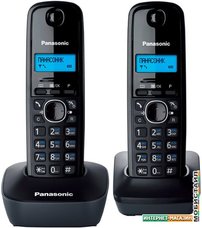 Радиотелефон Panasonic KX-TG1612RUH