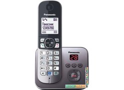 Радиотелефон Panasonic KX-TG6821RUM
