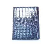 Чехол Nosson IPad 2/3 -V8 черный